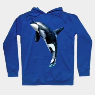 Orca Statue Hoodie